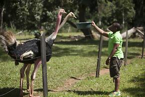 Ssese Habitat Resort