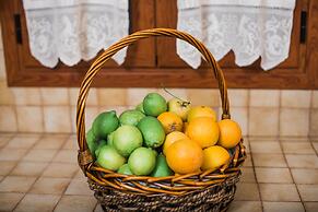 Traditional Luxury Villa Armonia