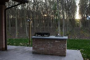 B&B Bortolino