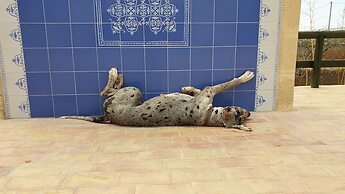 Agriturismo Duca Di San Martino