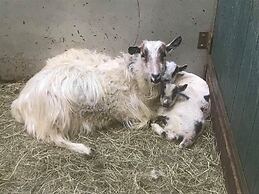 Vorsabær 2 Holiday Home