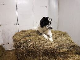 Vorsabær 2 Holiday Home