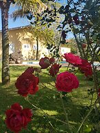 Rústico nas Alturas - Amparo