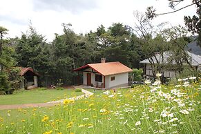 Pousada Águia da Montanha