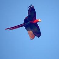 Fidelito Ranch & Lodge