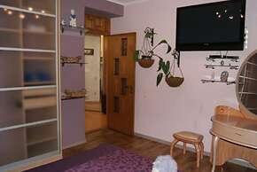 Apartment on Radischeva 23 apt 20