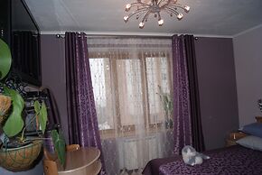 Apartment on Radischeva 23 apt 20