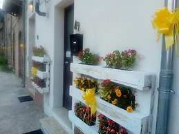 Nelle Stanze del Matese