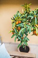 Jerry & Oli Apartments