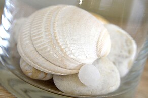 La Lisière du Bétey