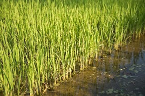 Azienda Agricola Le Colombare