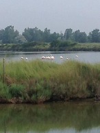Agriturismo Quietovivere