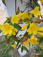 Playa macenas - Near Playa Macenas