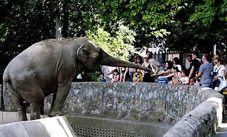 Apartment Manufactura