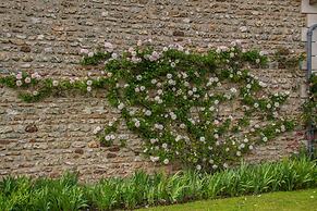 La Pocterie Chambres d'Hôtes en Vienne