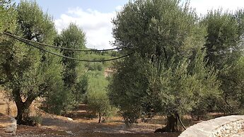 Casale Valle degli Ulivi