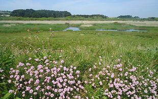 Mounts Bay Caravan Park