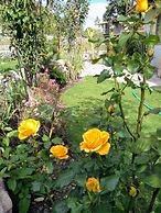 Casa de Campo Inkarumis-House