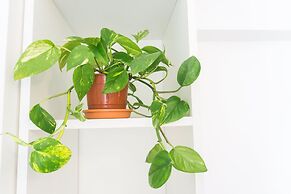 Gente del Sur - Josefina