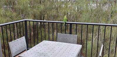 Noosa Holiday Accommodation