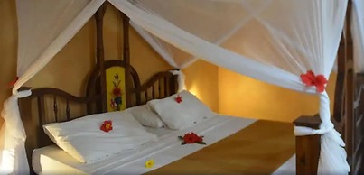 Coral Reef Beach Resort