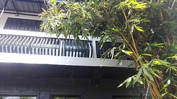 Mango Roots