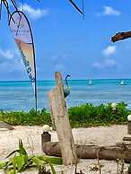 Driftwood Beach Lodge