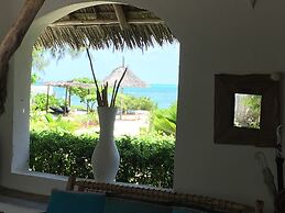 Driftwood Beach Lodge