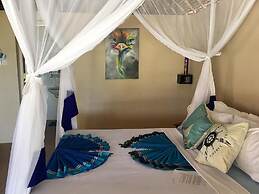 Driftwood Beach Lodge