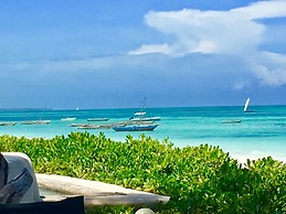 Driftwood Beach Lodge