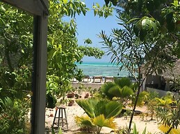 Driftwood Beach Lodge