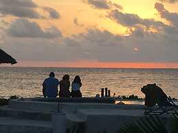 Driftwood Beach Lodge