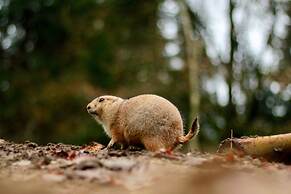 a-domo Apartments Oberhausen - Studio Apartments & Flats - short or lo