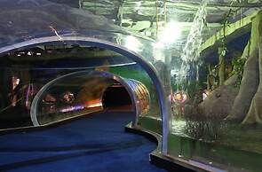 Carandá Hplus Express