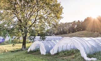 Cascina il Faggio