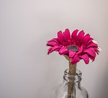 Apartamento La Bajamar