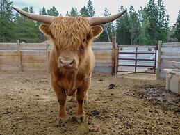Beautiful Log Chalet Near Fernie, BC