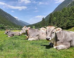 Familien & Vitalhotel Auenhof