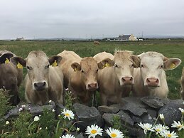 Berrylodge Country House