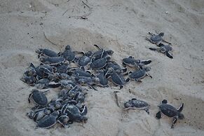 Pangani Cliffs Lodge