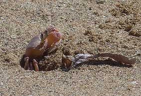 Pangani Cliffs Lodge