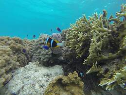 Pangani Cliffs Lodge