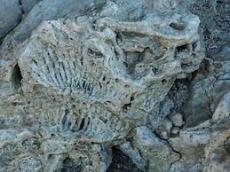 Pangani Cliffs Lodge