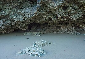 Pangani Cliffs Lodge