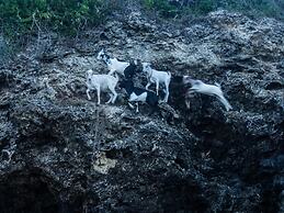 Pangani Cliffs Lodge