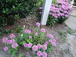Daniel Stebbins House