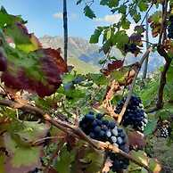 Agriturismo Il Raduno