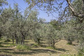 Agriturismo Filettro