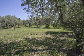Agriturismo Filettro