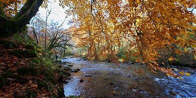 Le Relais des Lacs